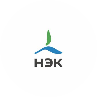 Новая энергетическая компания