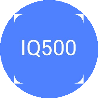 Айкью пятьсот