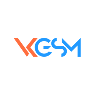VkGSM