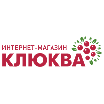 НОВЫЙ РЕГИОН