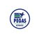 Pegas Touristik