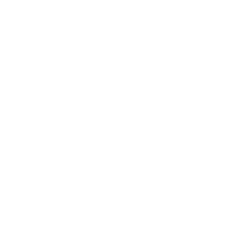 Жби-134