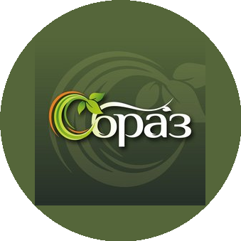 Образ Т