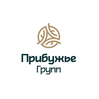 Прибужье Групп