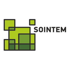 Соинтем