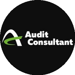 Audit-Consultant