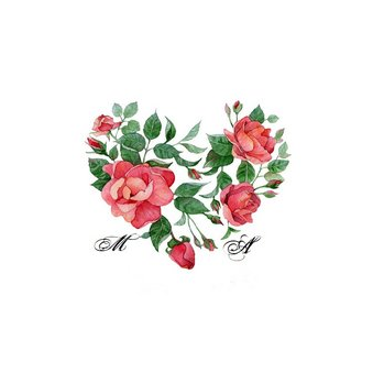 Аничин Максим Олегович