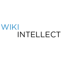 Digital marketing agency Wiki Intellect