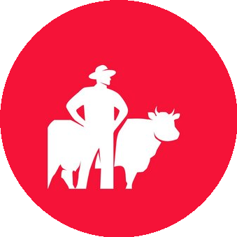 Красный молочник