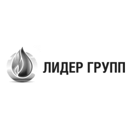 Лидер Групп