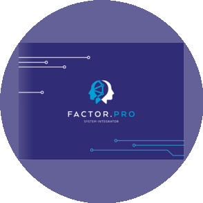 Фактор.Про