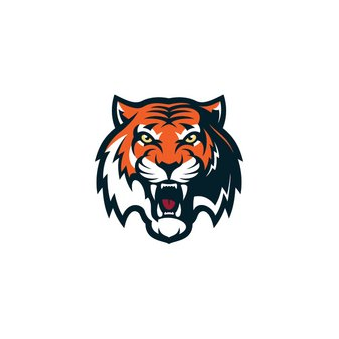 Ассоциация Хоккейный Клуб Амур