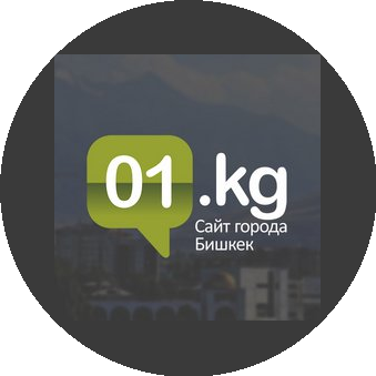 Бизнес Инфосистемс