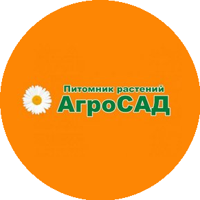 Шабалин Кирилл Александрович
