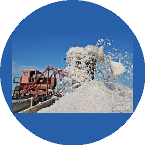 Левченко А.М.