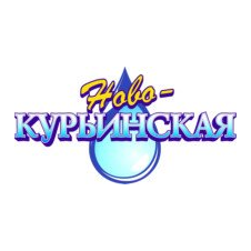 Новокурьинская Вода