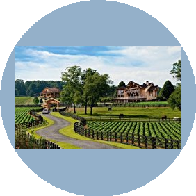 Зеленая долина