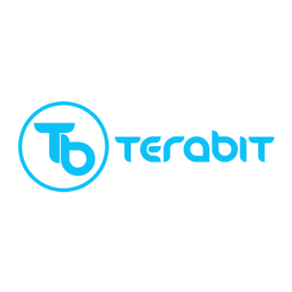 Терабит
