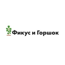 Фикус и Горшок