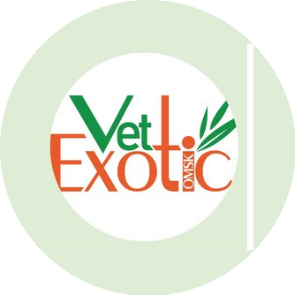 Ветеринарная клиника VetExotic