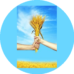 Золотой Колос