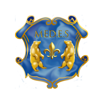 Агентство MEDES