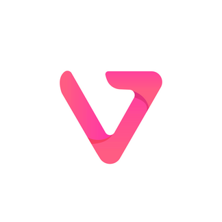 Video Vision