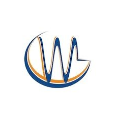 Интроскопия