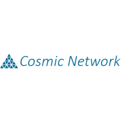 Cosmic Network