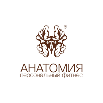 Анатомия