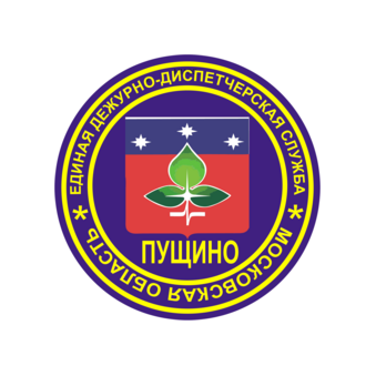 МКУ ЕДИНАЯ ДЕЖУРНО-ДИСПЕТЧЕРСКАЯ СЛУЖБА ГОРОДСКОГО ОКРУГА ПУЩИНО