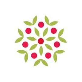 The Apple Tree International School