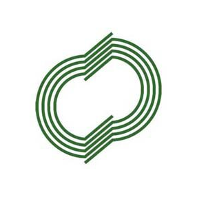 Дисиэм-Групп