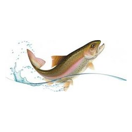 Дамасканов Андрей Георгиевич