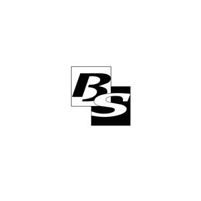 BS Сервисный центр