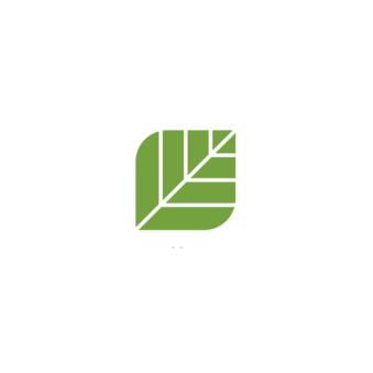 Валеология