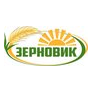 ЗЕРНОВИК