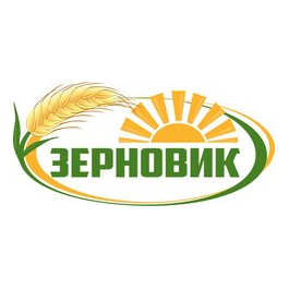 ЗЕРНОВИК
