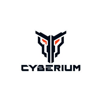 Cyberium Esports Academy