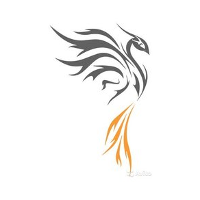 Феникс-Орто