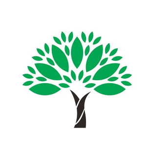 Медиагруппа Тюриных