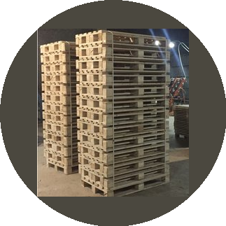 Лион Андрей