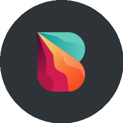 Вандерсофт Интернэшнл
