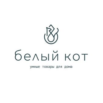 Дружный Белый Кот