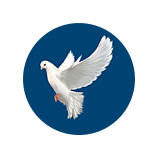 Химчистка Россита