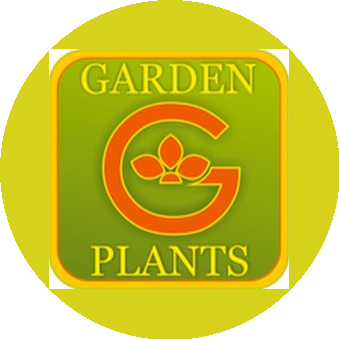 Семенов Иван Сергеевич