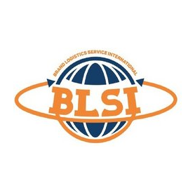 БЛСИ