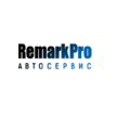 RemarkPro