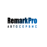 RemarkPro