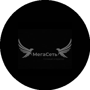 Мегасеть
